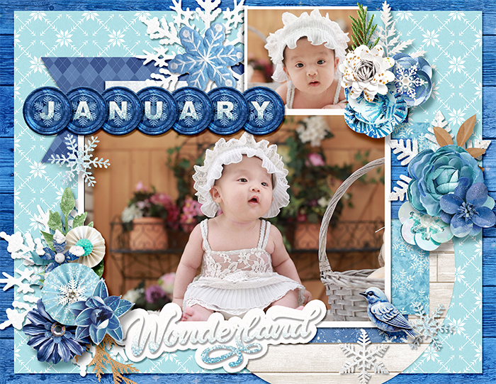 2026 Calendar - January