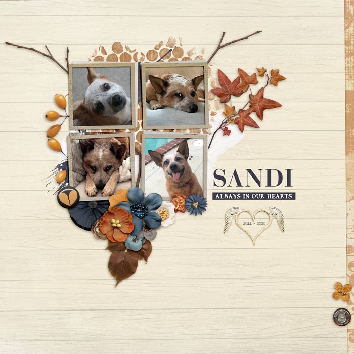 2026-Sandi.jpg
