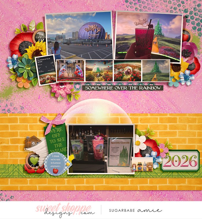 2026_2_Somewhere over the rainbow-babe.jpg