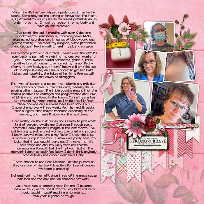 2026BCdiagnosis