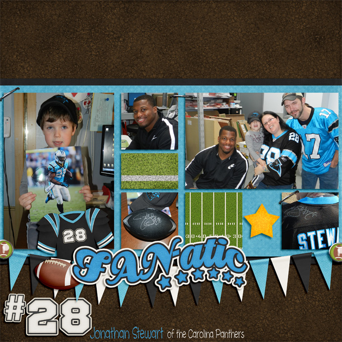 #28 Fan-atic