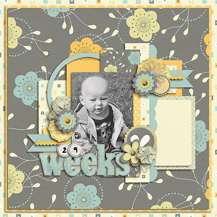 29 Weeks