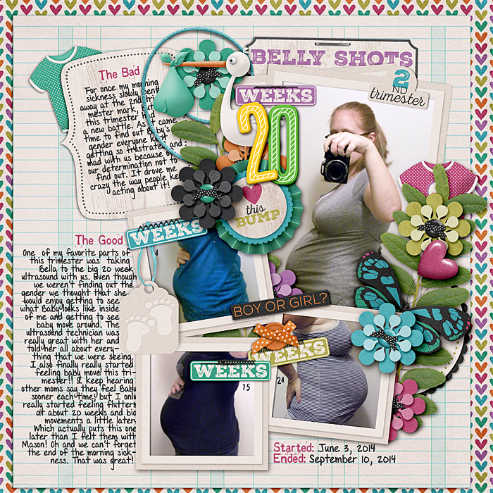 2nd trimester