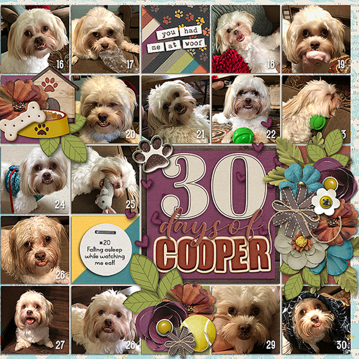 30 days of Cooper, right side