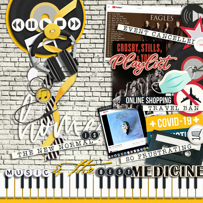 #3_2020ViralChronicles:TheNewNormal