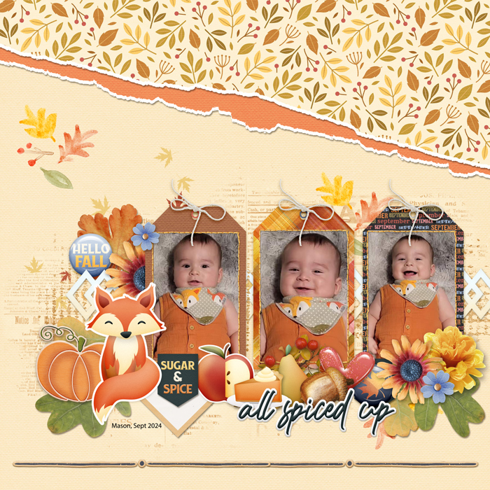 6 months old