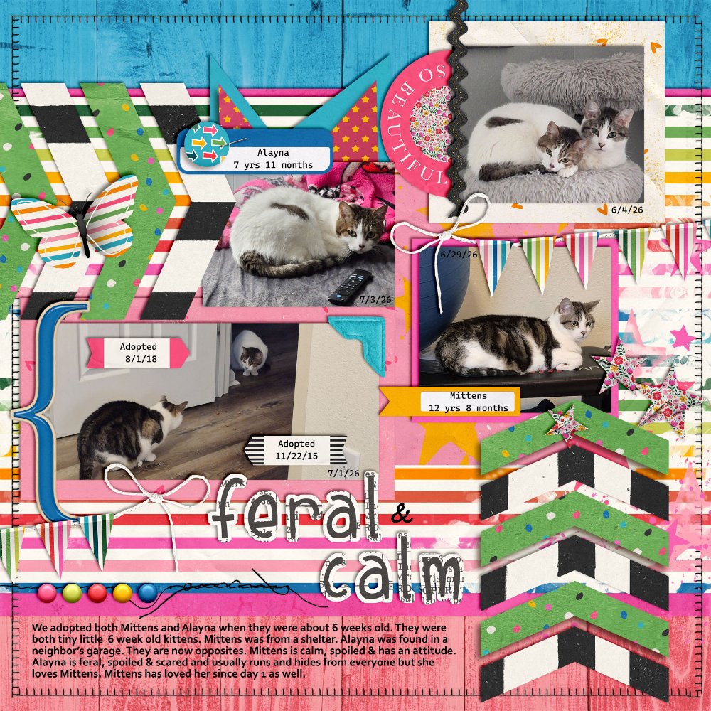 7 1 26 Feral and Calm