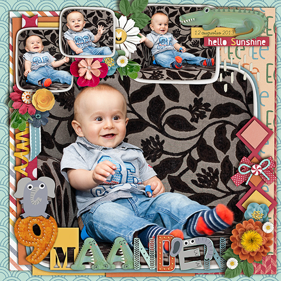9 maanden (months)