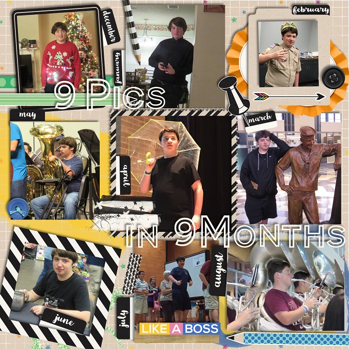 9 Pics in 9 Months 2016