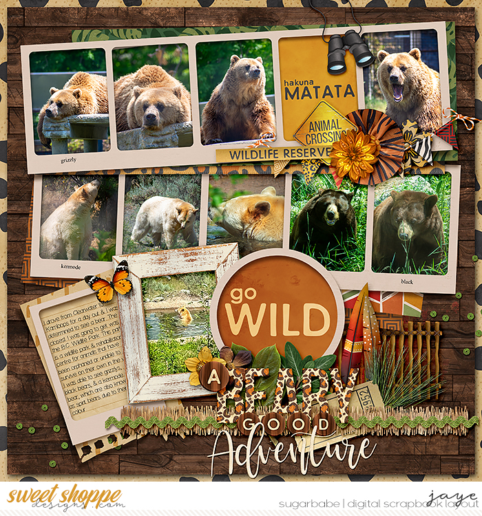 A Beary Good Adventure