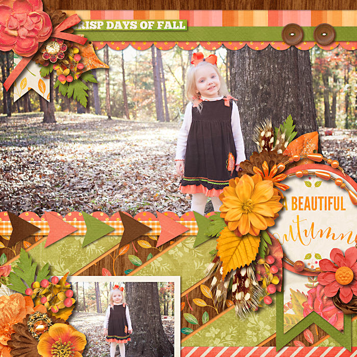 A Beautiful Autumn