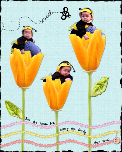 A Bee in the Flowers