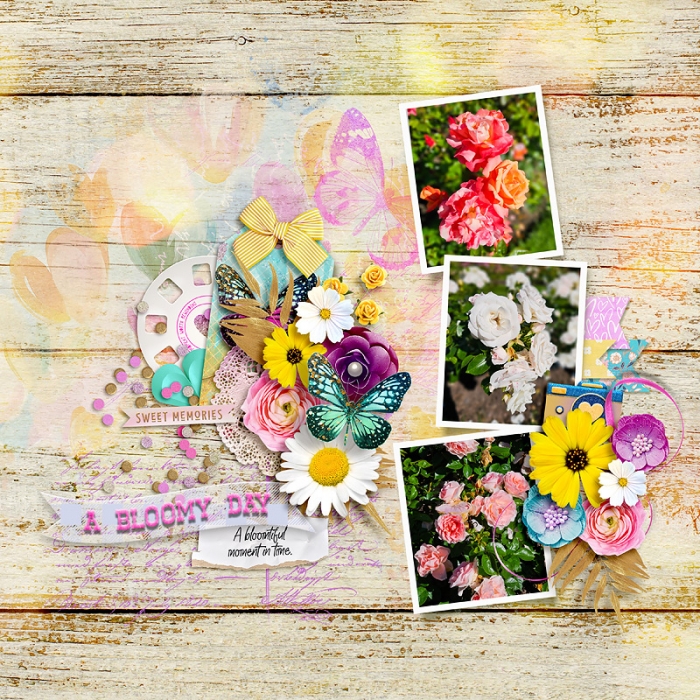 A Bloomy Day