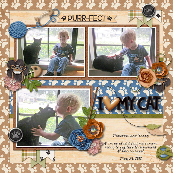 A Boy and cat