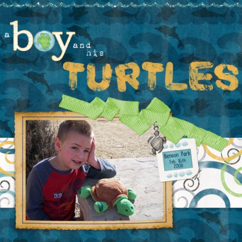 a boy and his turtles