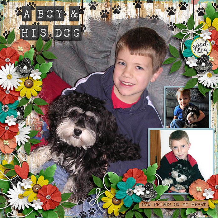 A Boy & His Dog