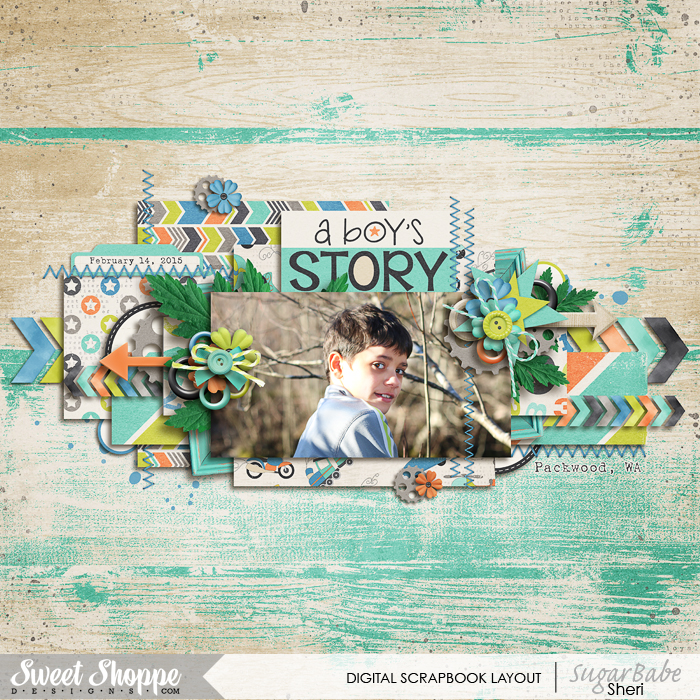 A Boy's Story