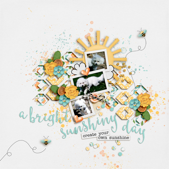 A Bright Sunshiny Day