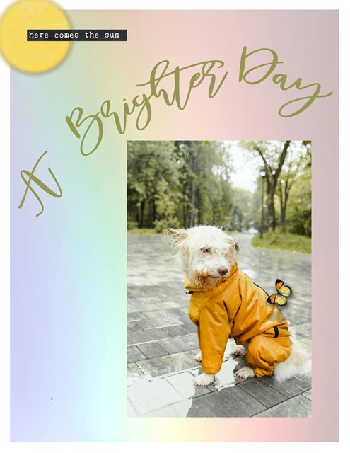 A Brighter Day