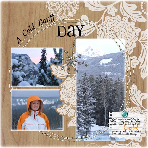 A Cold Banff Day