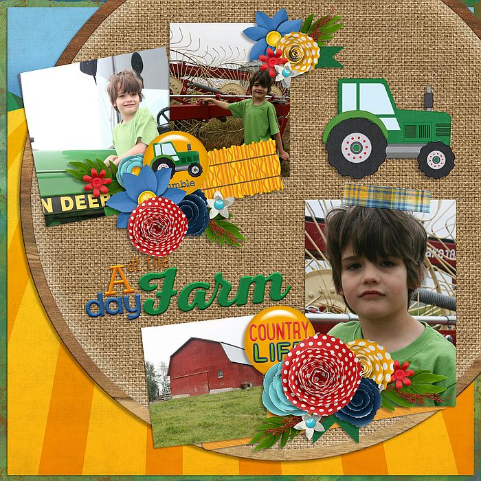 A Day at the Farm