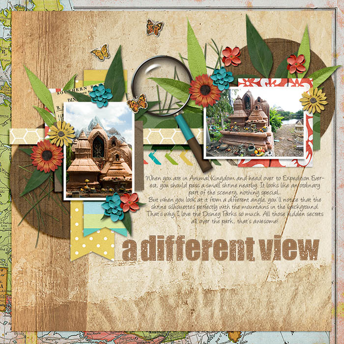 A Different View