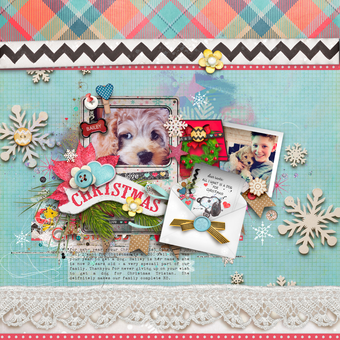 A DOG FOR CHRISTMAS