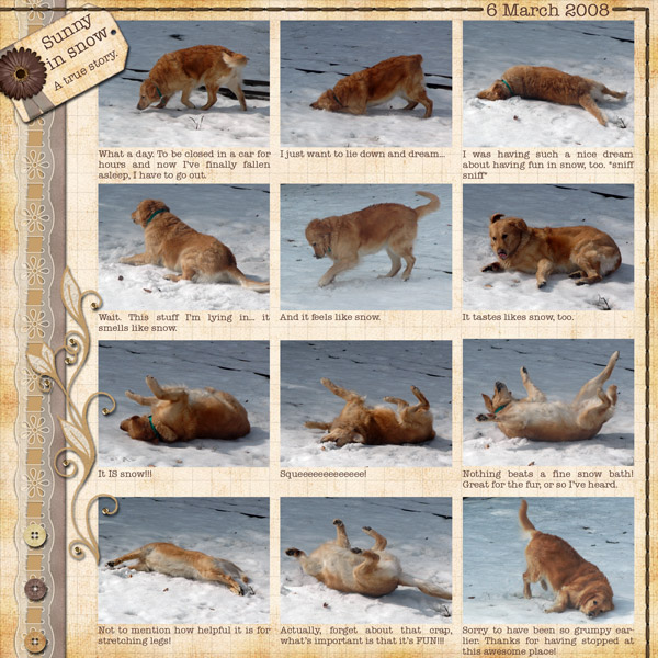 A dog's life