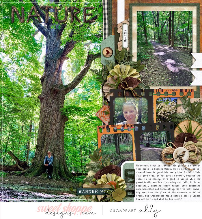 A Favorite Tree