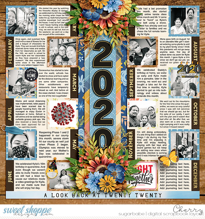 A Look Back At 2020