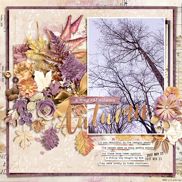 A Magical Autumn