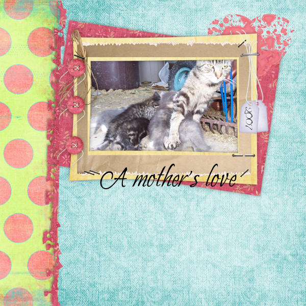 A Mother's Love (recipe challenge)