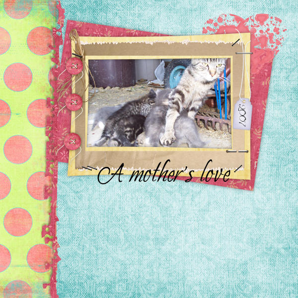 A Mother's Love
