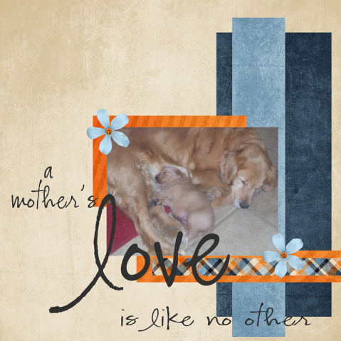A Mother's Love