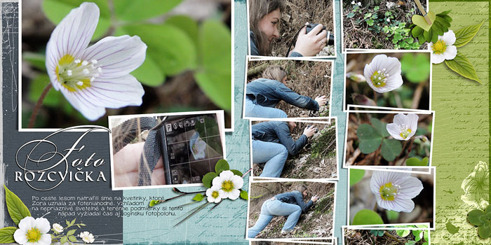 A photo exercise