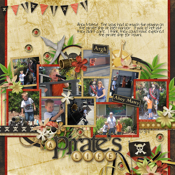 A Pirate's Life