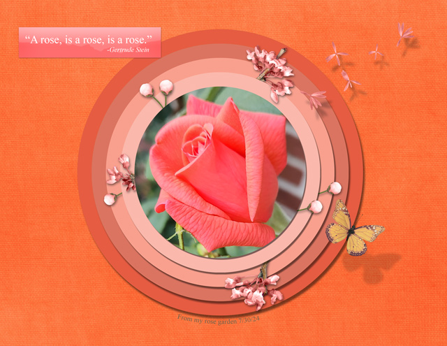 A Rose is a Rose
