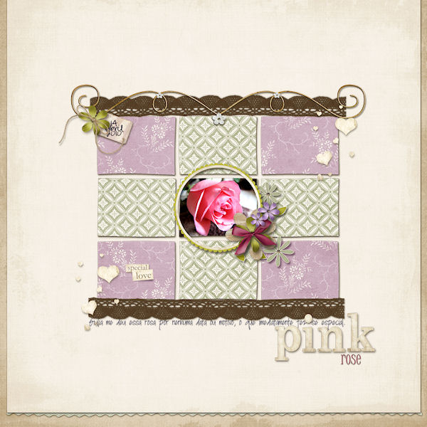 A Special Pink Rose