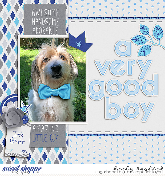 A Very Good Boy