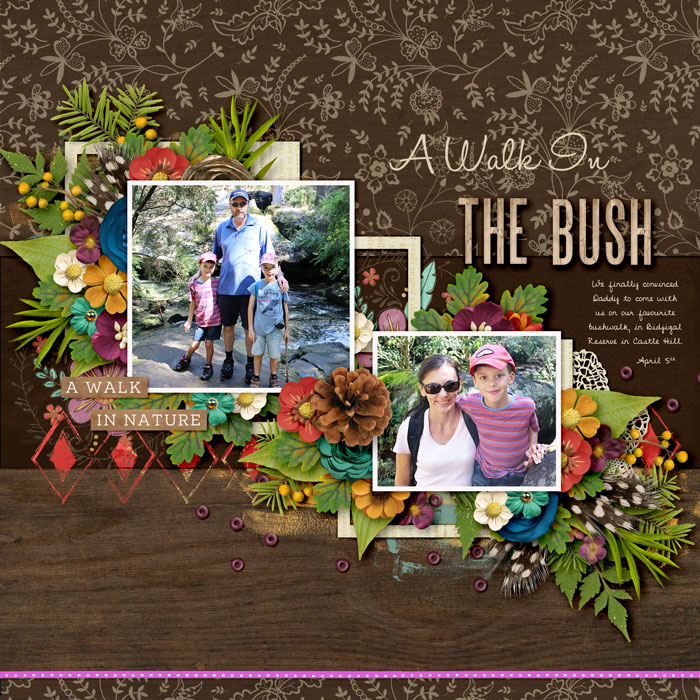 A Walk in the Bush