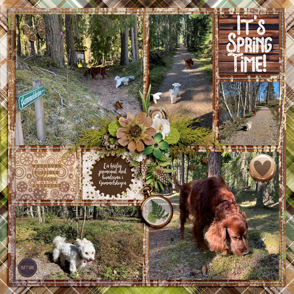 A walk in the Old Forest