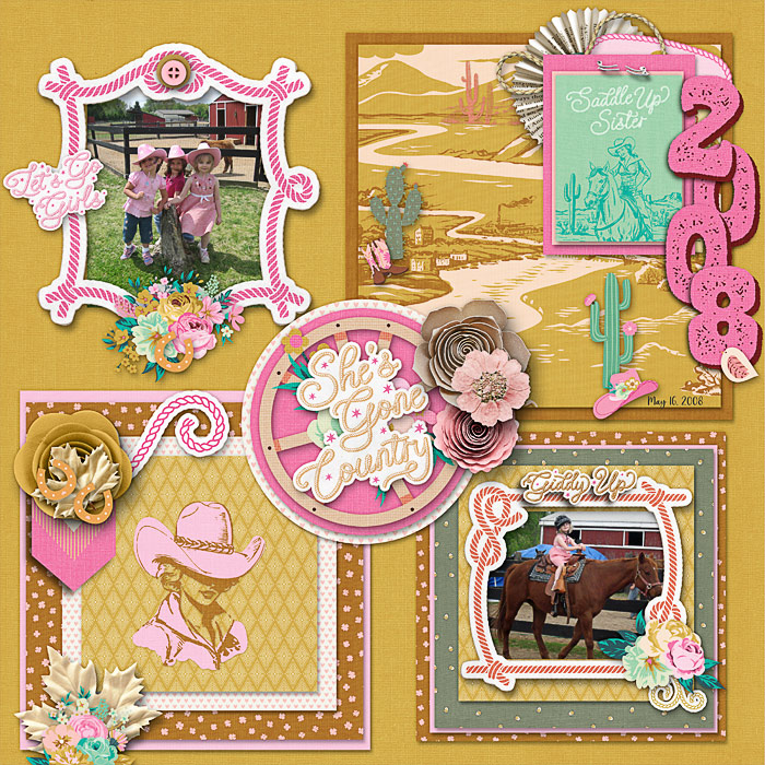 A Western Birthday Party