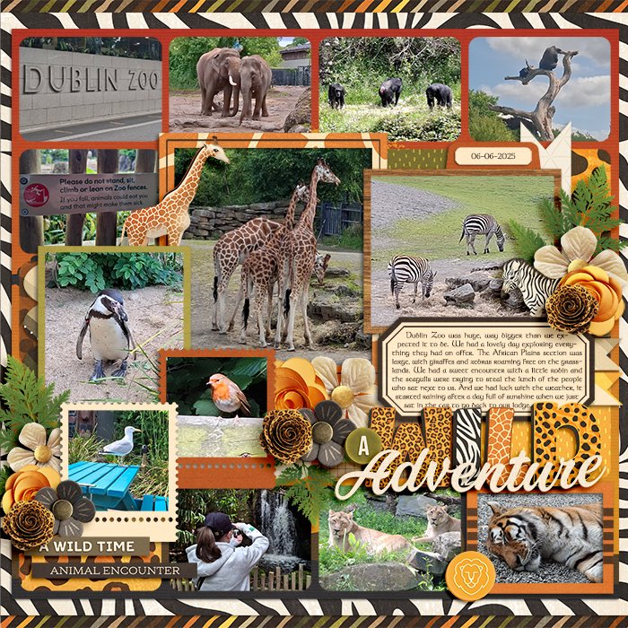 A Wild Adventure