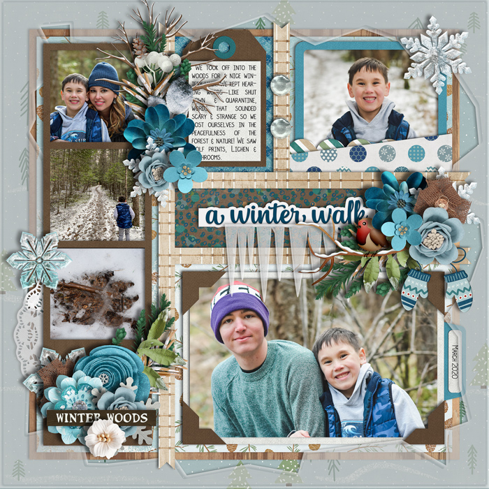 A Winter Walk