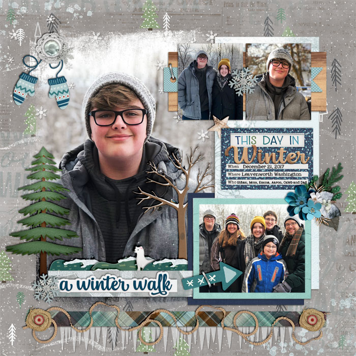 A Winter Walk
