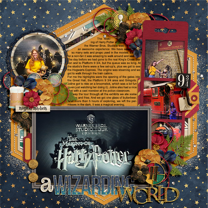 A Wizarding World