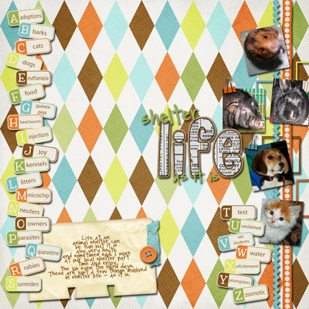 ABC List - Shelter Life - As It Is