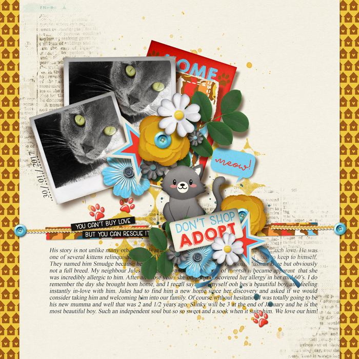 ADOPT A FURBABY