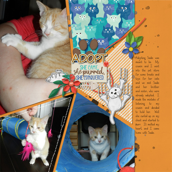 Adopted