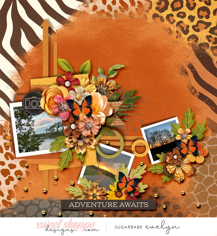 Adventure Awaits